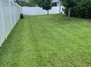 Latasha M.'s Lawn Mowing Service service result