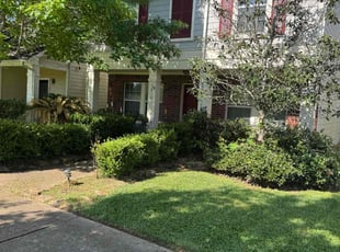 Todd W.'s Yard Cutting service result