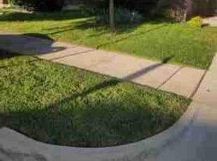 Mark H.'s Lawn Care service result