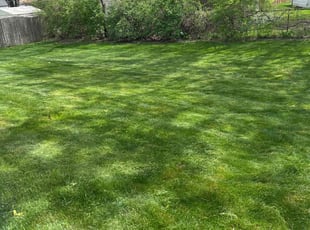 Robert C.'s Lawn Mowing service result