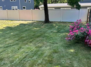 David W.'s Lawn Maintenance service result