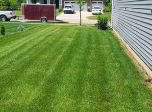 Tammi R.'s Lawn Maintenance service result