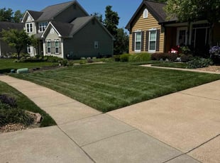 Larry K.'s Lawn Maintenance service result