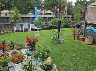 Denise S.'s Lawn Service service result