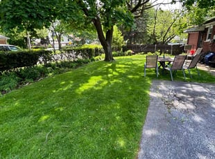 Lidia d.'s Lawn Service service result