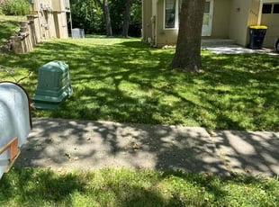Jody B.'s Lawn Mowing service result