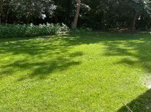 Karl G.'s Lawn Maintenance service result
