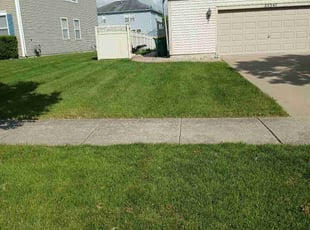Jerry P.'s Grass Cutting service result