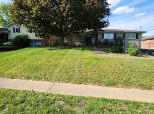 Kelly T.'s Yard Cutting service result