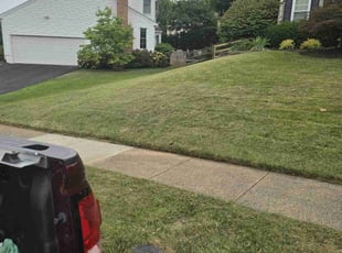 Emmett W.'s Lawn Mowing service result