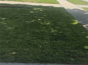 Gretchen G.'s Lawn Service service result