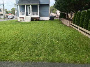 Anna L.'s Lawn Maintenance service result