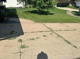 Corrine H.'s Lawn Maintenance service result