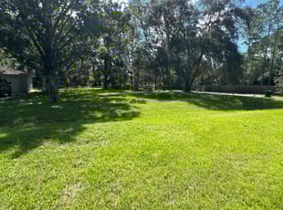 Christopher O.'s Lawn Maintenance service result