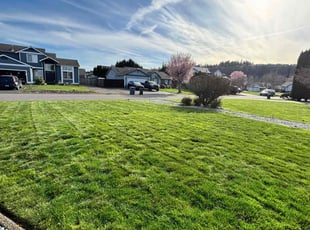Ryke N.'s Grass Cutting service result