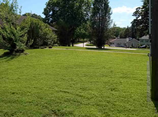 Corbin O.'s Lawn Service service result
