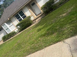 Bush Trimming by Charles Gulley for Ashley P. in Gulf Breeze, FL