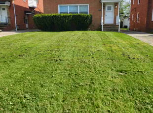Brooke B.'s Lawn Care service result