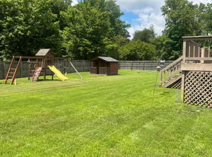 Trudi D.'s Lawn Care service result