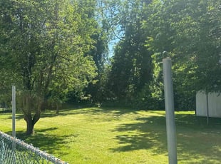 Katelynn D.'s Grass Cutting service result