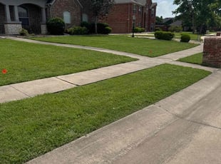 Priaya P.'s Lawn Mowing service result
