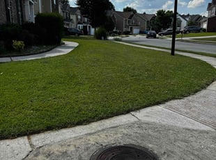 Michael W.'s Lawn Maintenance service result