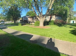 Paige W.'s Grass Cutting service result