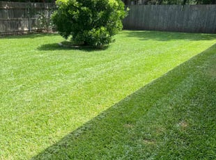 Dean H.'s Lawn Care service result