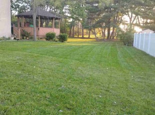 Noor H.'s Lawn Care service result