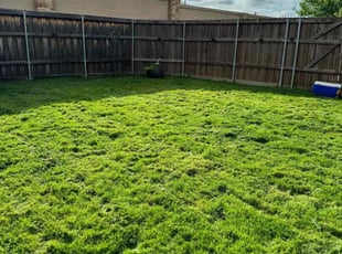Ling Z.'s Lawn Mowing service result