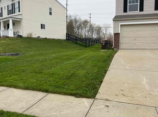 Charles A.'s Lawn Mowing service result