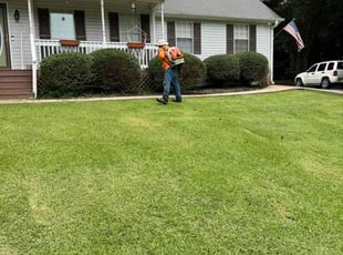 Chris M.'s Bush Trimming service result