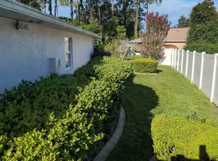Michael A.'s Lawn Care service result
