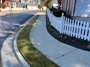 Samuel D.'s Yard Cutting service result