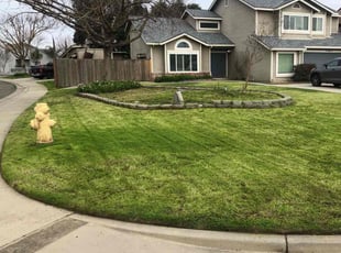 Trevor A.'s Lawn Service service result