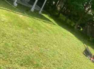 Robert M.'s Grass Cutting service result