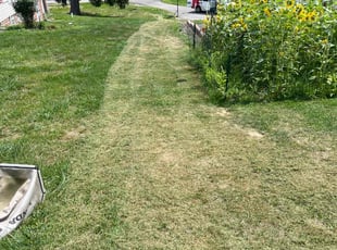 Ron P.'s Lawn Mowing service result