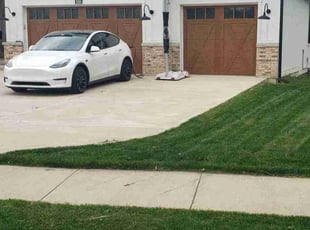 Tasha D.'s Grass Cutting service result