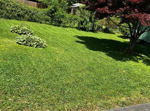 Jan C.'s Lawn Maintenance service result