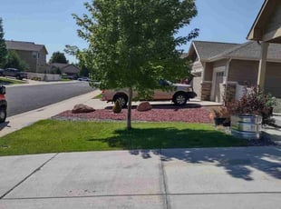 Ray S.'s Lawn Mowing service result