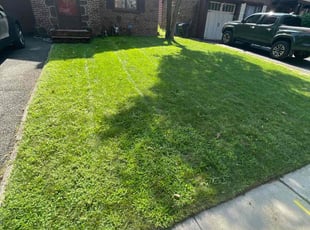 Randolph W.'s Lawn Care service result