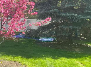 Ruth M.'s Grass Cutting service result