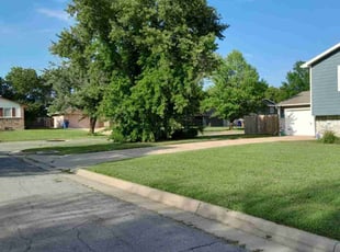 Dale B.'s Grass Cutting service result