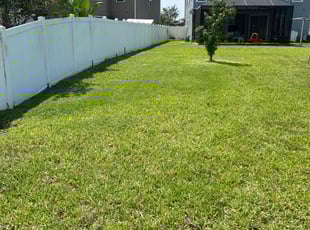 Lourdes C.'s Lawn Mowing service result