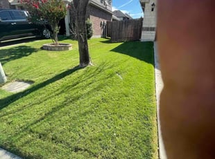 Paul M.'s Yard Cutting service result