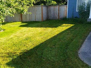 Maxwell R.'s Yard Cutting service result