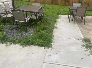 Cleanups by Chuck West for Guest R. in Atlanta, GA