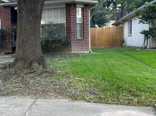 Danny F.'s Lawn Care service result