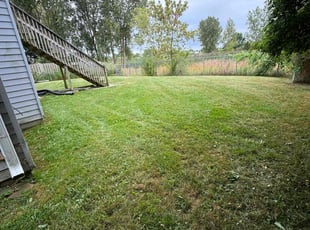 Ann E.'s Lawn Mowing Service service result