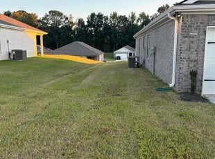 Gina L.'s Grass Cutting service result